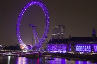 M様/ヨーロッパサッカー観戦ツアー　7日間